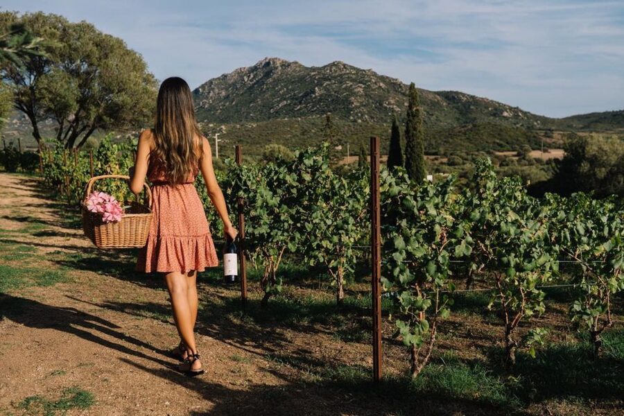 Olbia: Gallura Winery Guided Tour with Tasting - Should you book the Gallura winery tour?