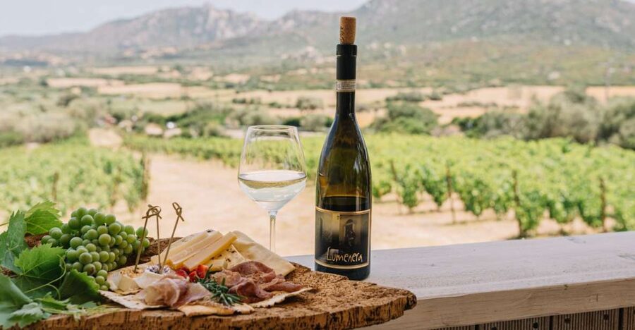 Olbia: Gallura Winery Guided Tour with Tasting - Walking through the vines and winery