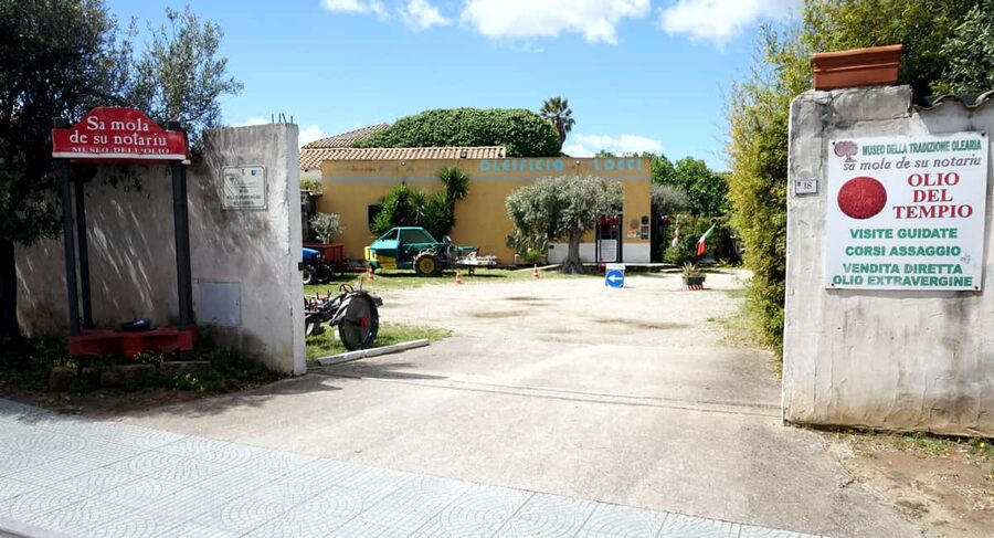 Olive Oil Museum: Extravirgin school - Food & wine tasting - What makes this Sardinian oil experience special