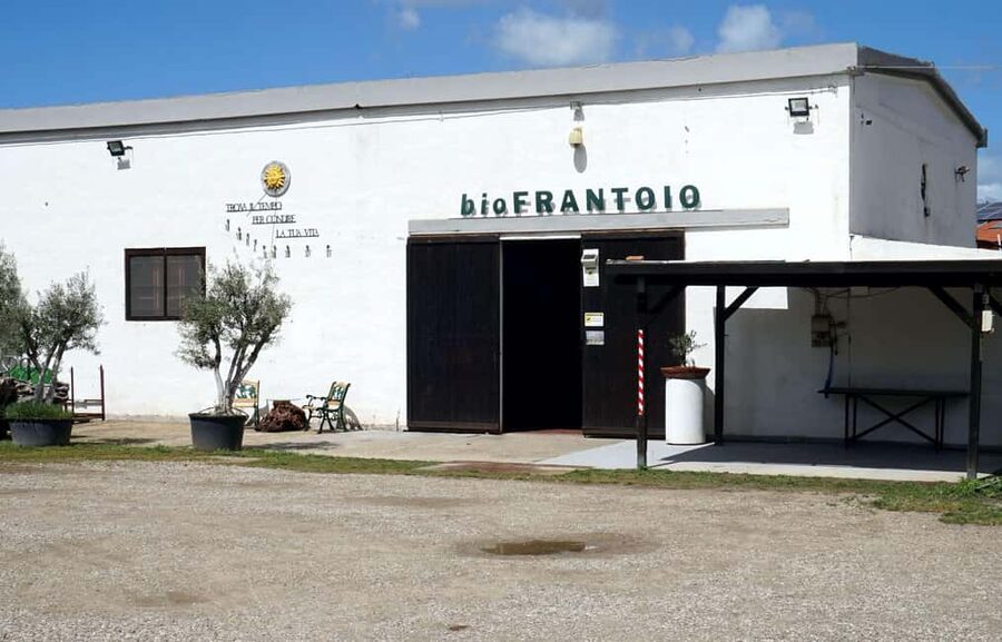 Olive Oil Museum: Extravirgin school - Food & wine tasting - A working mill with four centuries behind it