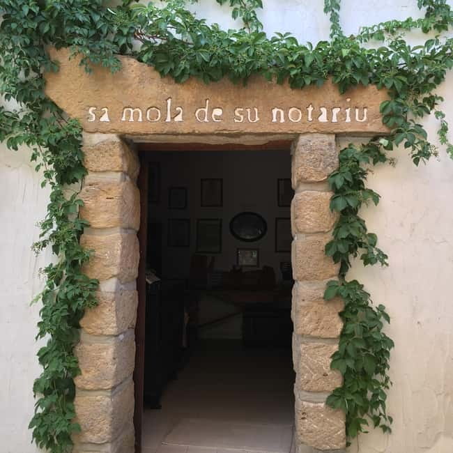 Olive Oil Museum: Extravirgin school - Food & wine tasting - Two flavored oils with very different uses