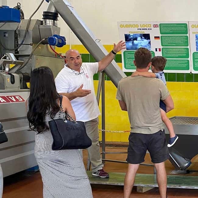 Olive Oil Museum: Extravirgin school - Food & wine tasting - Getting there from Cagliari