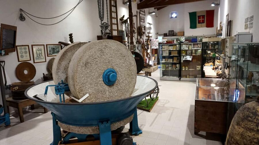 Olive Oil Museum: Extravirgin school - Food & wine tasting - Who will enjoy this most?