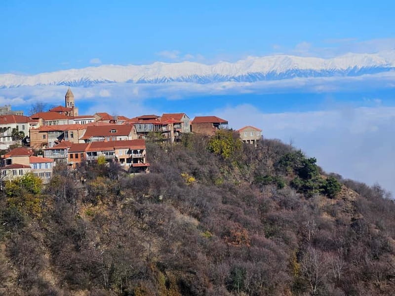 One-day tour in Kakheti with a guide and free wine tasting - Telavi brings wine, history, and a giant tree