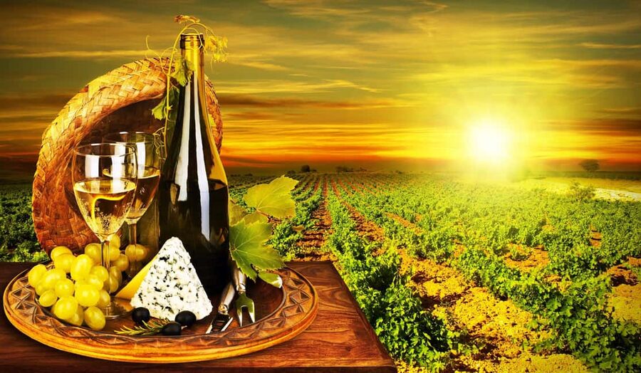 Organic Wine Tasting with Saint paul Half Day Tour from Nice - Saint Paul de Vence in a short window
