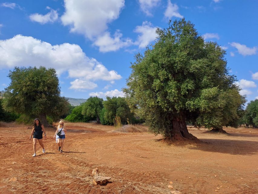Ostuni: Guided e-bike tour + countryside tasting stop - At a Glance: What Makes This Ride Special