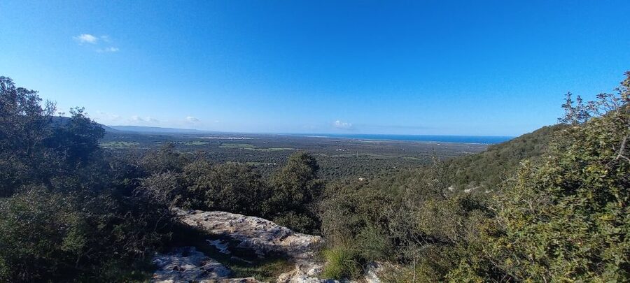 Ostuni: Guided e-bike tour + countryside tasting stop - Practical Details Before You Go
