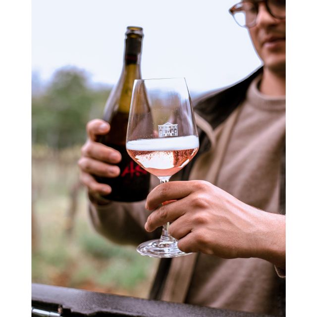 Ozzano Emilia: Guided Cellar Walking Tour with Wine Tasting - From grape to bottle in the cellar
