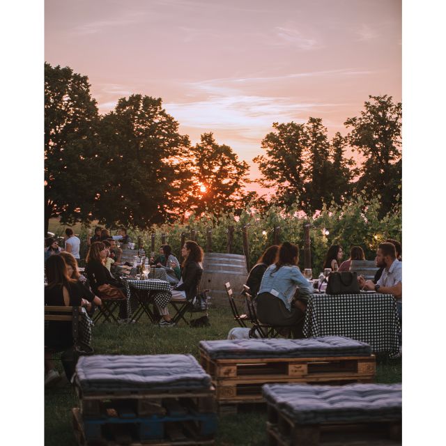 Ozzano Emilia: Guided Cellar Walking Tour with Wine Tasting - Is $65 a fair price?