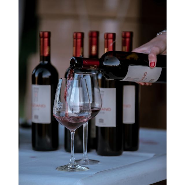 Ozzano Emilia: Guided Cellar Walking Tour with Wine Tasting - Who will enjoy this visit most?
