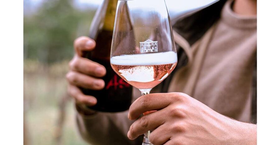 Ozzano Emilia: Guided Cellar Walking Tour with Wine Tasting - Getting from Bologna to Ozzano