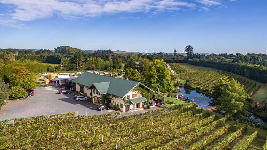 Paihia or Kerikeri: Wine, Spirit, & Craft Beer Tour - Five things worth knowing before you book