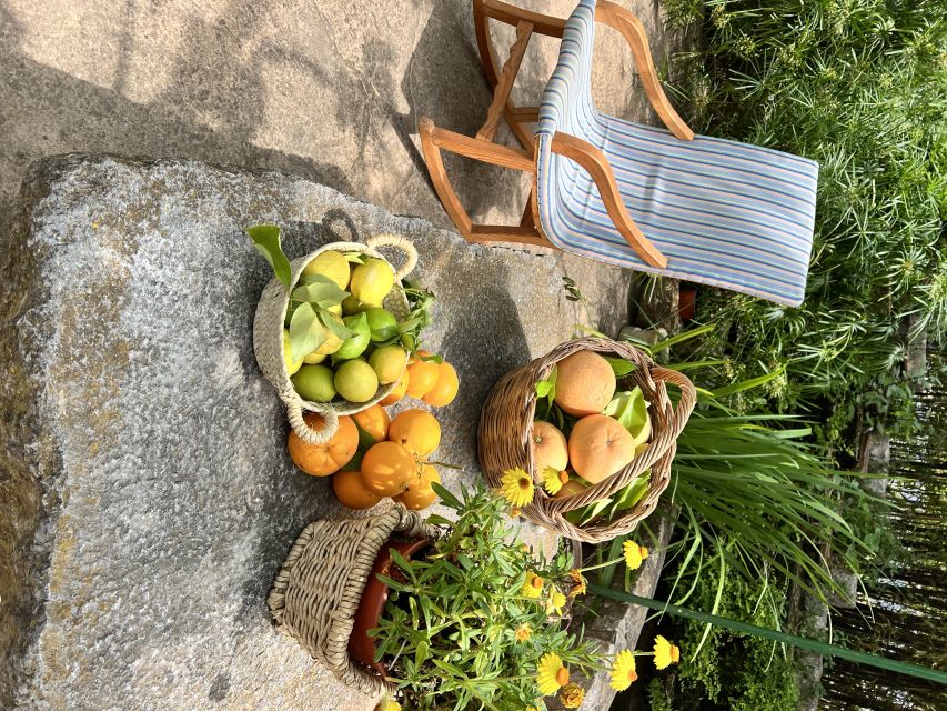 Palma: Orange Farm, Olive Mill, & Winery Tour with Tastings - Orange farming in the Tramuntana Mountains