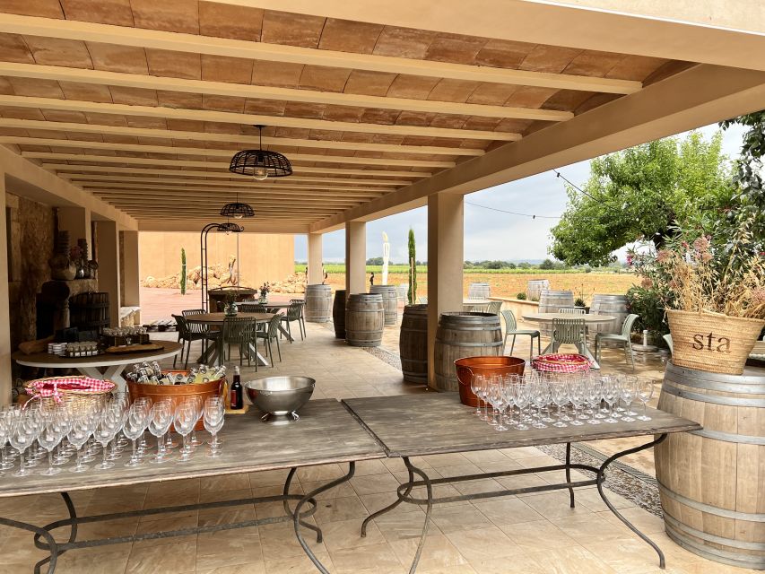 Palma: Orange Farm, Olive Mill, & Winery Tour with Tastings - What the $221 price really includes