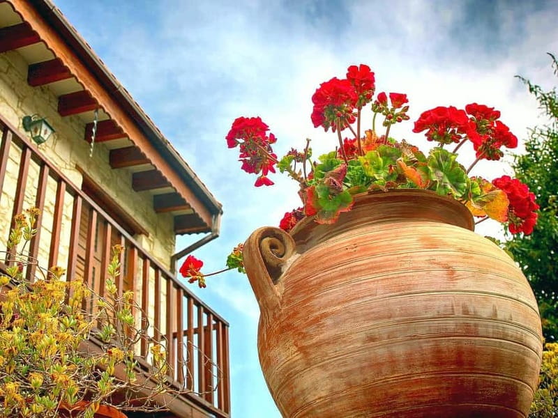 Paphos: Gourmet Cyprus Tour – Local Flavors & Wine - Lunch in the Troodos Mountains