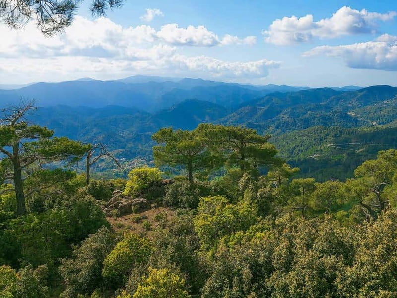 Paphos: Scenic Troodos Mountains Tour with Wine Tasting - Tzelefos Bridge: an old crossing with a short, scenic walk