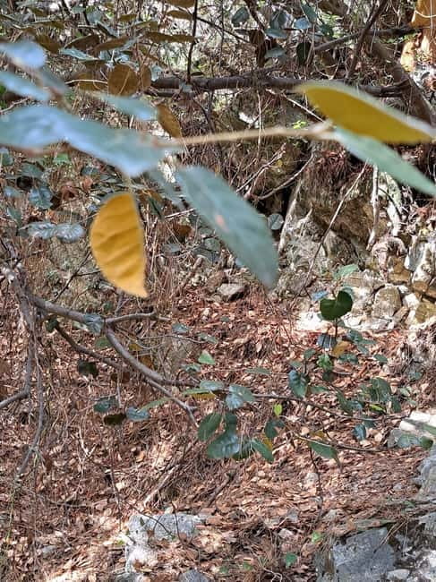 Paphos: Troodos Mountains Jeep Tour with Wine Tasting - The return through Avdimou and Aphrodite’s Rock