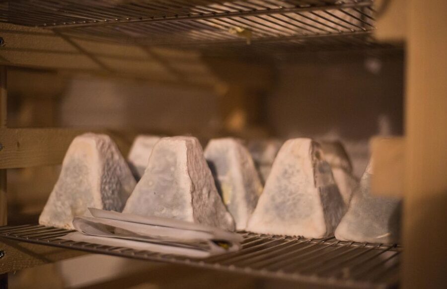 Paris: Cheese and Wine Class in a 17th Century Cellar - Seven cheeses, seven different ways to taste France