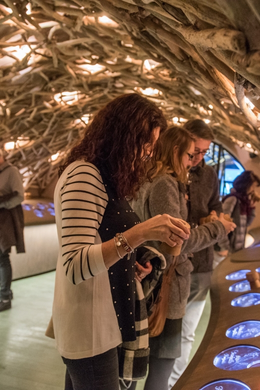 Paris: French Wine Experience in Parisian Cellar - From Grape to Bottle Through the Cellars