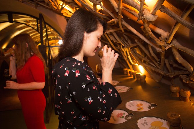 Paris - Guided Visit & Tasting in a Royal Wine Cellar - What the one-hour route feels like