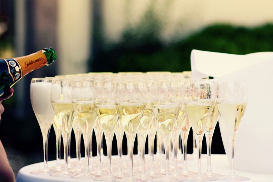 Paris: Private Day Trip to Champagne with 8 Tastings & Lunch - Through the Côte des Blancs and Vallée de la Marne