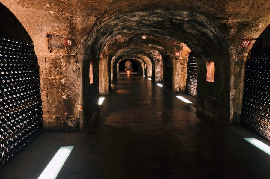 Paris: Private Day Trip to Champagne with 8 Tastings & Lunch - The second house and the more personal side of Champagne