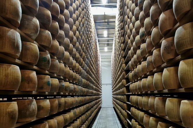 Parmigiano Wine and Balsamic Vinegar Experience from Bologna - Key points at a glance