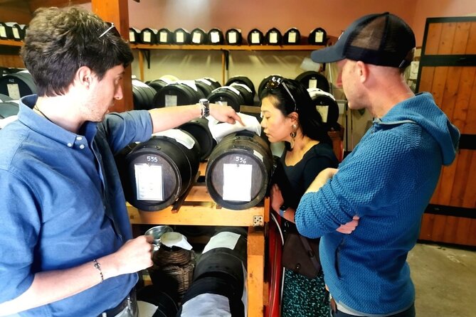 Parmigiano Wine and Balsamic Vinegar Experience from Bologna - Why this food day works from Bologna
