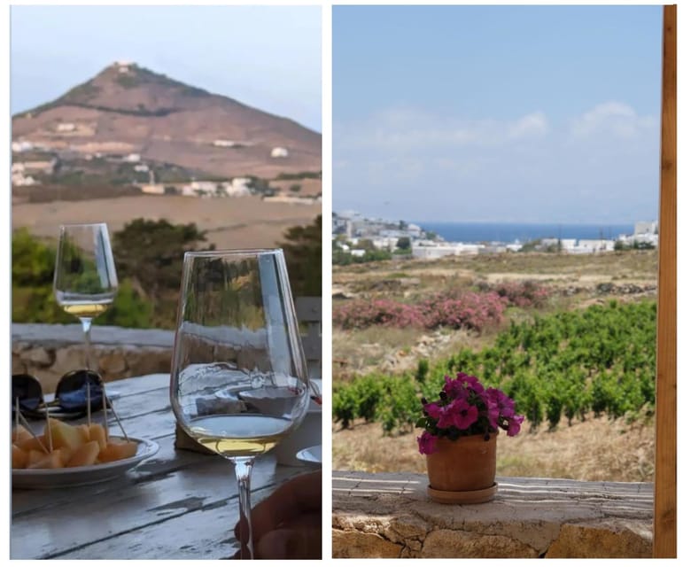 Paros: Wine tasting at Local Winery - Timing, cancellation, and planning advice