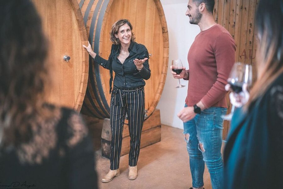 Partinico: Historic Sicilian Vineyard & Wine Tasting Tour - Language, guides, and the feel of the visit