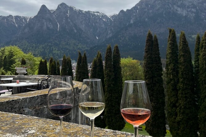 Peles & Cantacuzino Castles: Gourmet Wine & Cultural Day trip - Cantacuzino Castle and the wine tasting
