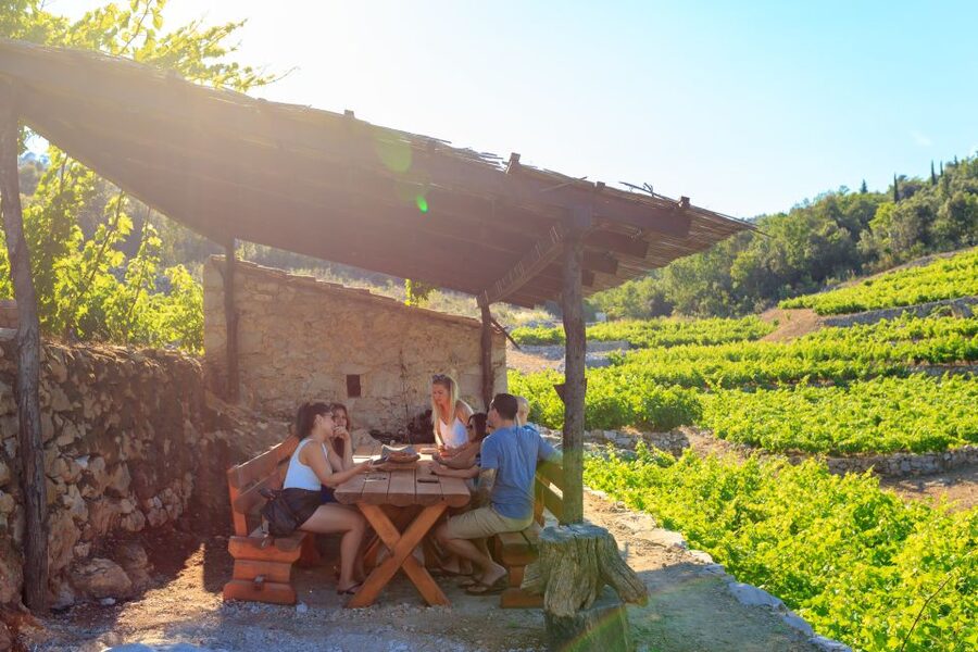 Pelješac Full-Day Wine and Food Tour from Dubrovnik - At a glance