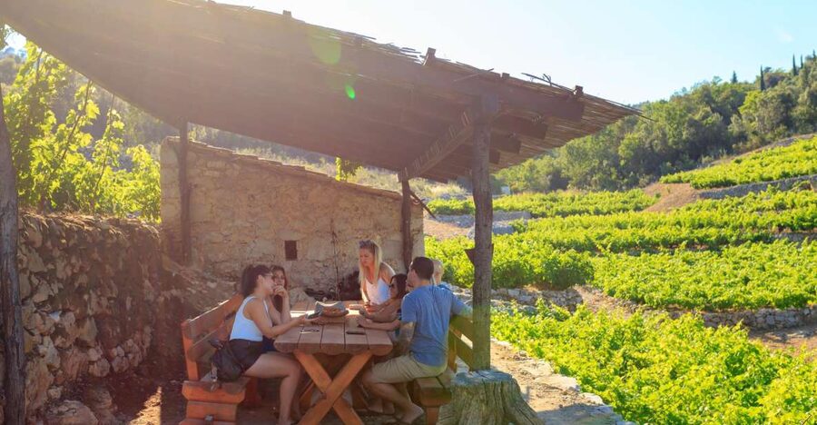 Pelješac Full-Day Wine and Food Tour from Dubrovnik - On the road to Pelješac vineyards