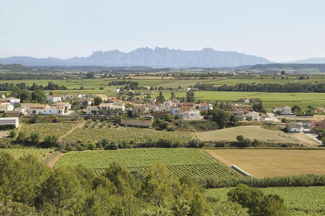 Penedes Wine & Cava Tasting & 4WD Vineyards Tour from Barcelona - Five things to know before you go