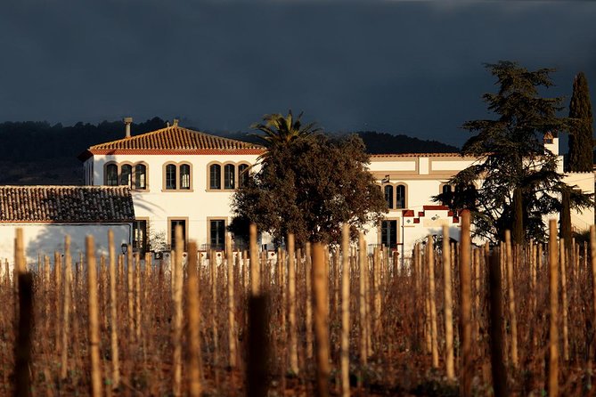 Penedes Wine & Cava Tasting & 4WD Vineyards Tour from Barcelona - Should you book this wine and Cava tour?