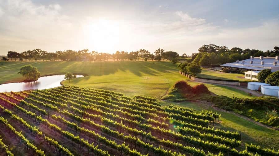 Perth: Full Day Swan Valley Cruise & Wine Tasting With Lunch - A shared platter lunch on the boat