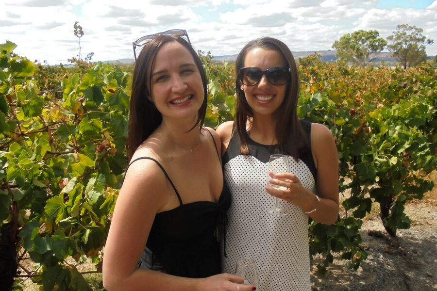 Perth: Full Day Swan Valley Cruise & Wine Tasting With Lunch - Is $140 good value?