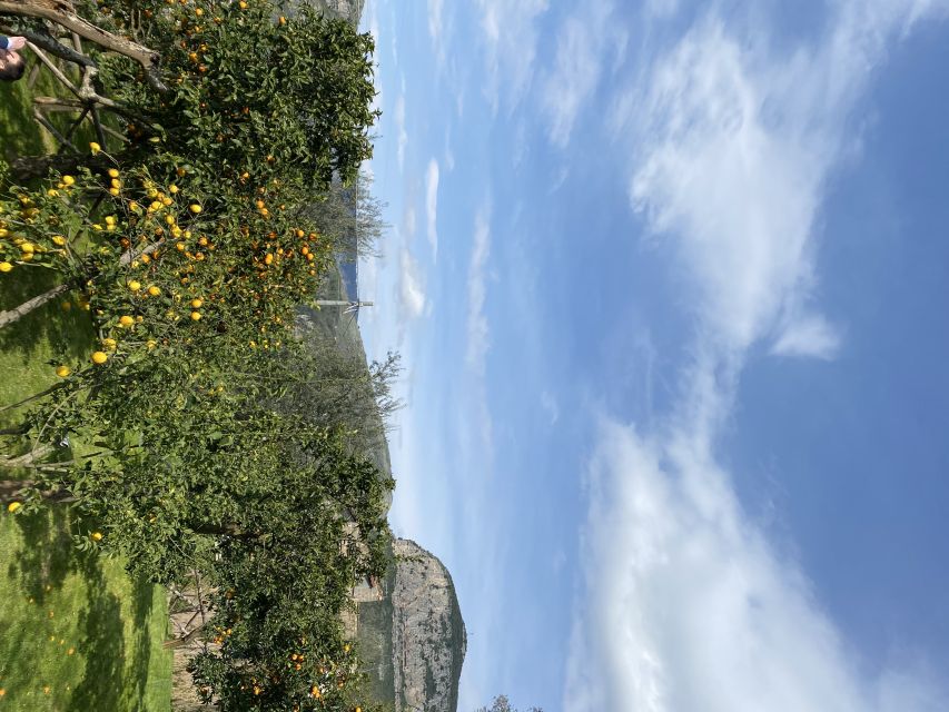 Piano di Sorrento: Cooking Class with Food Tasting and Wine - Simple sauces and several dishes at the table