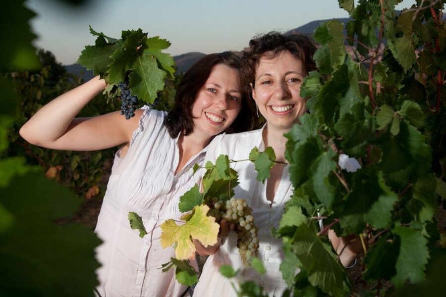 Pic nic Deluxe Assisi and wine tasting 5 wines - A Vineyard Below the Basilica of Saint Francis