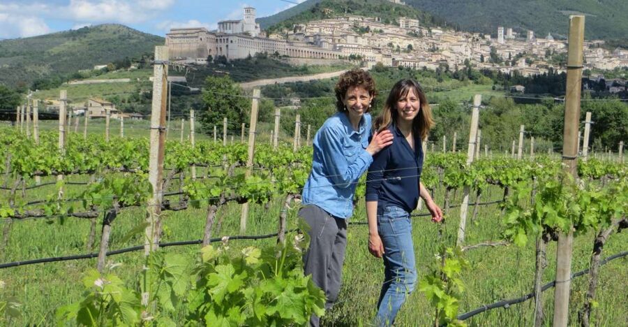 Pic nic Deluxe Assisi and wine tasting 5 wines - Walking the Vineyard With a Map