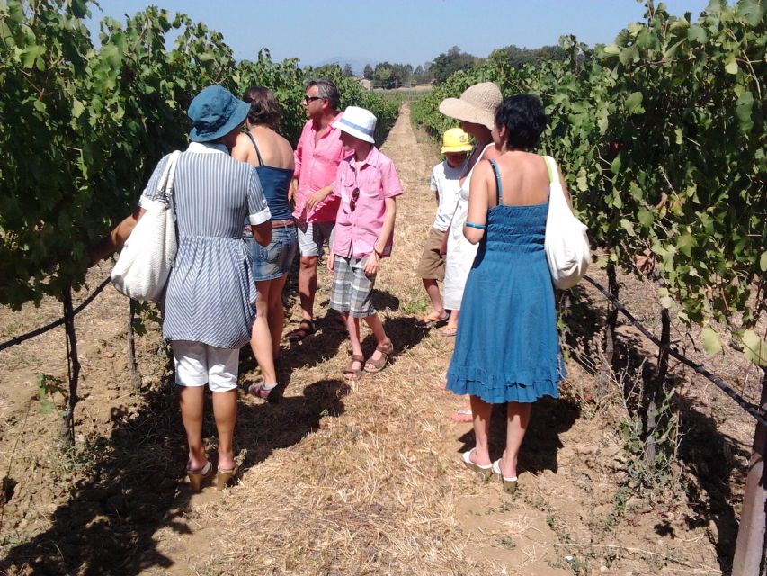 Pic nic Deluxe Assisi and wine tasting 5 wines - The Veranda Picnic With Assisi in View
