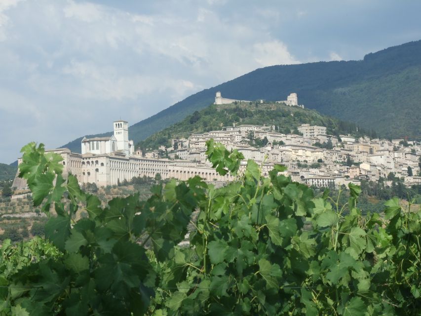 Pic nic Deluxe Assisi and wine tasting 5 wines - Who Will Enjoy This Experience Most