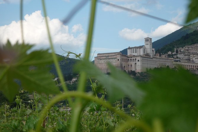 Pic nic Deluxe Assisi for 2 and wine tasting 5 wines - Walking the vineyards with a map