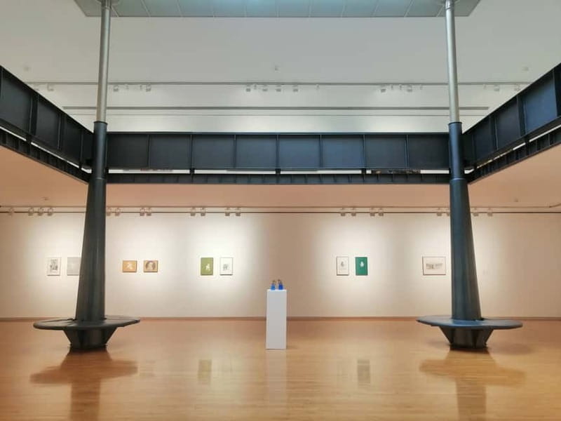 Picasso Museum and Walking Tour Plus Wine Tasting Upgrade - Why this Picasso tour works better than a museum visit alone