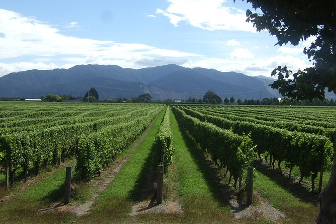 Picton Cruise Ship Shore Excursion Marlborough Wine Tour - From Picton’s waterfront to the Marlborough vineyards