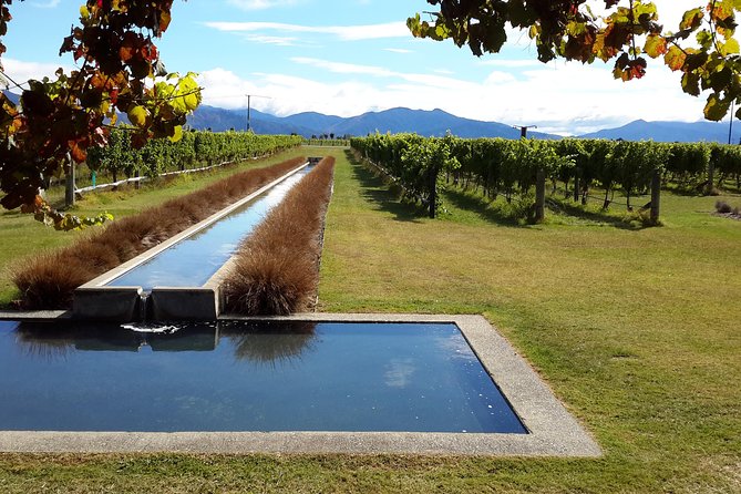 Picton Cruise Ship Shore Excursion Marlborough Wine Tour - Who will enjoy this Marlborough outing most?