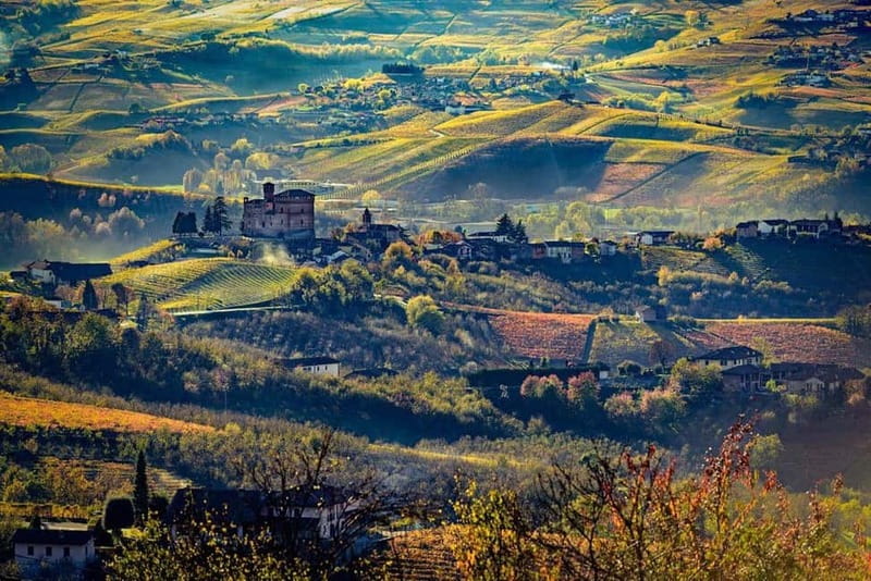 Piedmont: Winery Tour, Taste Barolo, Barbaresco & Local Food - What the $58 price delivers