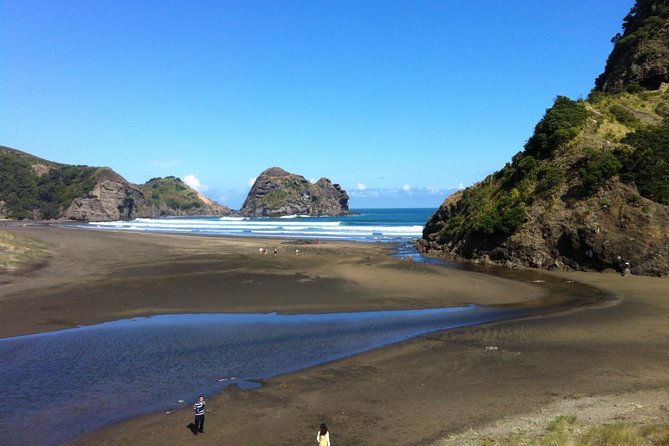 Piha Waitakere Rainforest Wine Tour from Auckland - Leaving Auckland for the wild west coast
