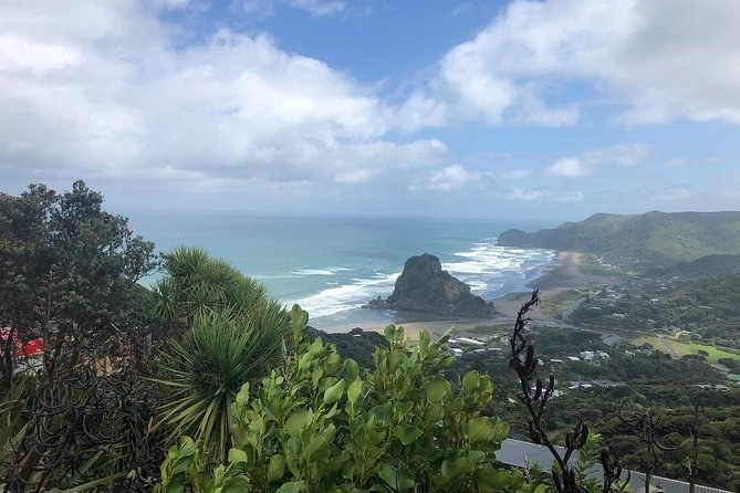 Piha Waitakere Rainforest Wine Tour from Auckland - Karekare Falls and a short rainforest walk