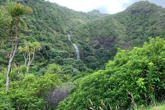 Piha Waitakere Rainforest Wine Tour from Auckland - Is $195.48 a fair price?
